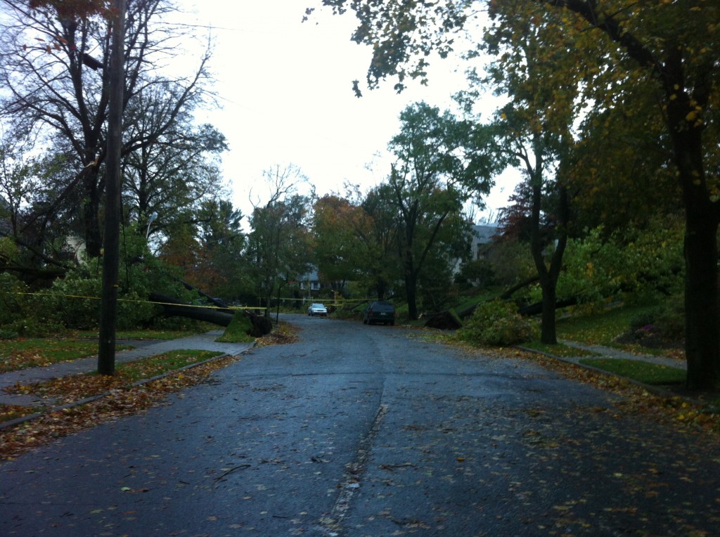 Hurricane Sandy Destruction 13